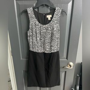 Black and White Ann Taylor LOFT Mixed Media Dress